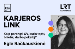 Tinklalaidė „Karjeros link“